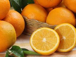 Куплю апельсин