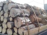 Куплю дрова чурками от 1,2 м - 2-3-4м - фото 2