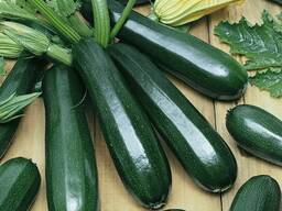 Куплю кабачки цуккини зеленые