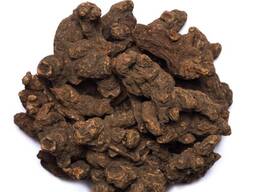 Куплю корень калгана