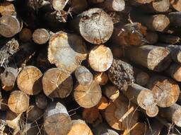 Куплю лес сухостой и дрова от 1 м - 6 м, диаметр - 12 мм и более