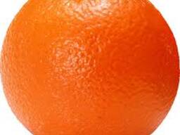 Куплю мандарины