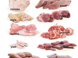 Куплю субпродукты свиные и говяжьи - фото 1