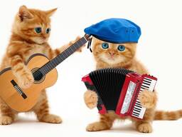 Lekcje muzyki on-line