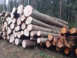 Лес дрова кругляк