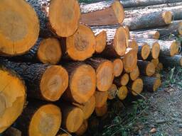 Дрова ольха черная