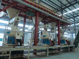 Линия по производству пеллет из опилок с годовой производительностью 100000 тонн в провинц - фото 2