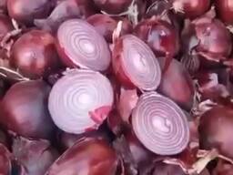 Лук красный, сорт Робин, калибр 5