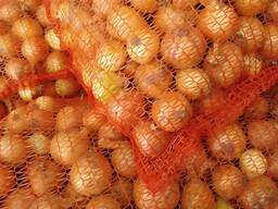 Лук репчатый свежий