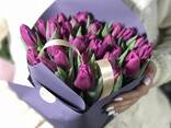 Тюльпаны оптом от производителя - фото 3
