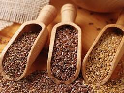 Лён масличный