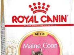 Royal Canin Kitten Maine Coon-корм для котят МЕЙН-КУН
