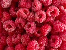 Малина свежая