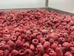 Малина свежемороженая ЭКСТРА/ГРИС/ЛОМ. Фото