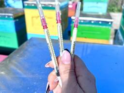 Маточное молочко (нативное)