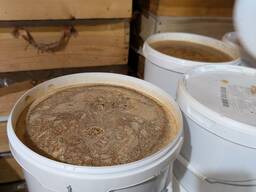 Мед гречишный