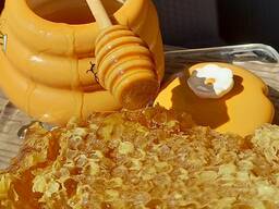 Пущанский мёд 2025 г, Брест мёд, можно Купить Мёд на пасеке, подарки(декор свечи)