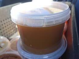 Мед, опт-розница, есть все виды