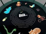 Мелки для рисования на батуте UNIX Line (5шт. ) - фото 2