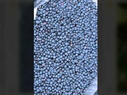 Могу организовать заготовку черники