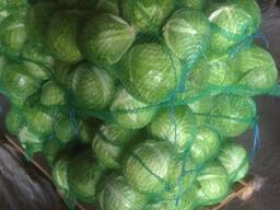 Капуста и др. свежие овощи