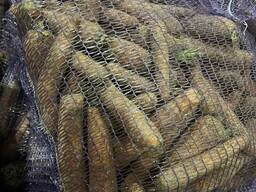 Морковь столовая свежая 1 сорт