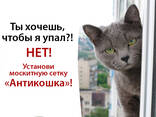 Москитная сетка "Антикошка" для окон и балконных рам - фото 1