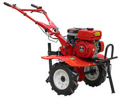 В аренду на прокат. Мотокультиватор FERMER FS811-MX