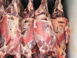 Мясо говядины по доступным ценам на рынки РБ и РФ