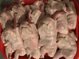 Мясо перепелов