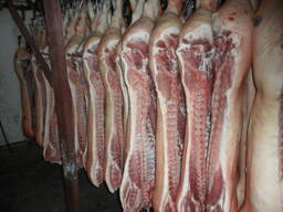 Продам мясо свинины полутуши охл 2 категории