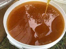 Мёд оптом 5 руб кг 2023г.