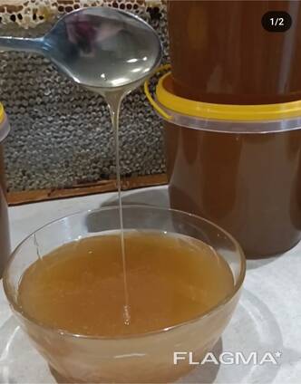 Мёд урожая 2024