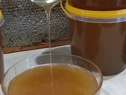 Мёд урожая 2024