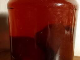 Настойка гриба веселка Могилев Минск