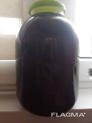 Настойка гриба веселка Минск Могилев