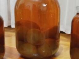 Настойка гриб весёлка