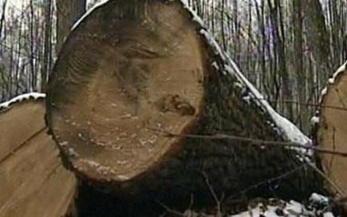 Нуждаемся в услугах