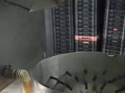 Оборудование для обработки куриных лапок (линия 11 позиций)