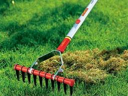 Скарификация газона