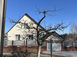 Обрезка плодовых деревьев в Минске и Минской области