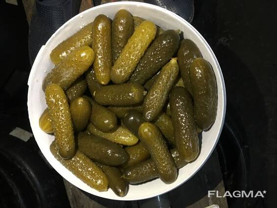 Огурцы