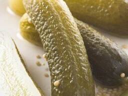 Огурцы солёные бочковые