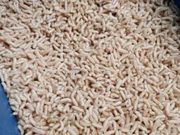 Опарыш белый