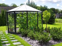 Стеклянная оранжерея