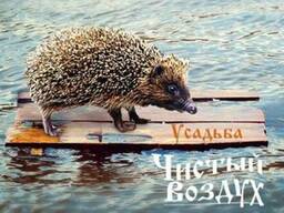 Отдых