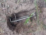 Отлов кротов - фото 2