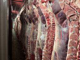 Отруба из говядины