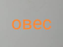 Овес