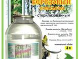 Овощная консервация, березовый сок, соленья - фото 2